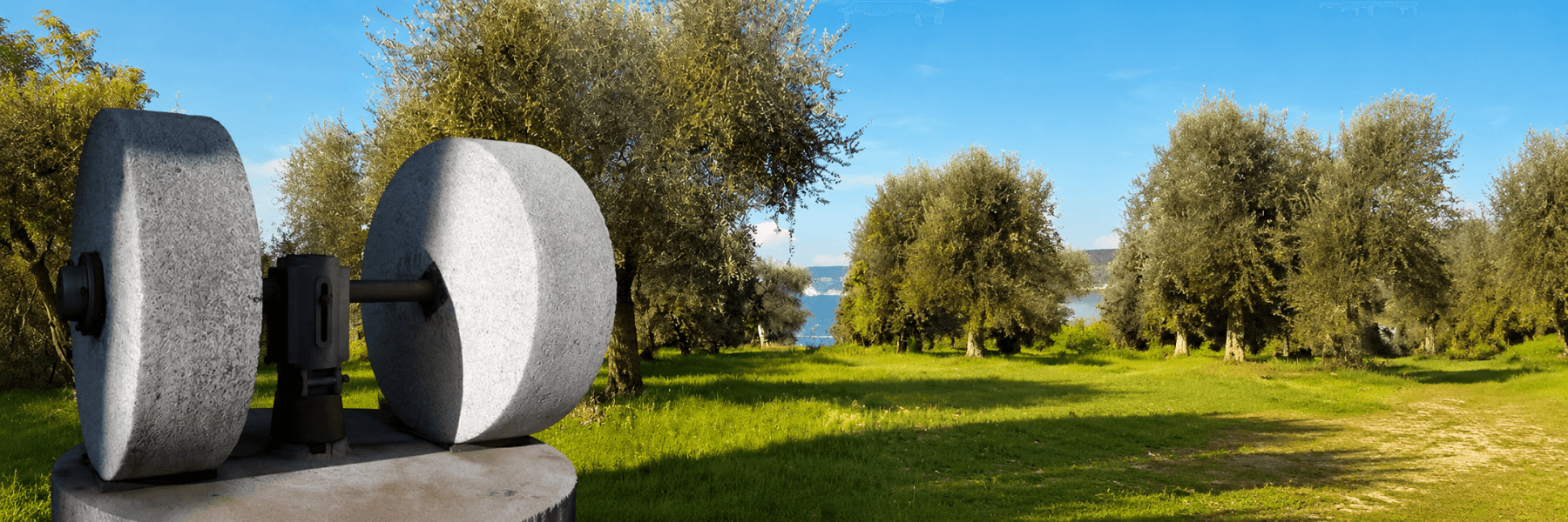 Industria Olearia Di Folino Antonio Franco banner