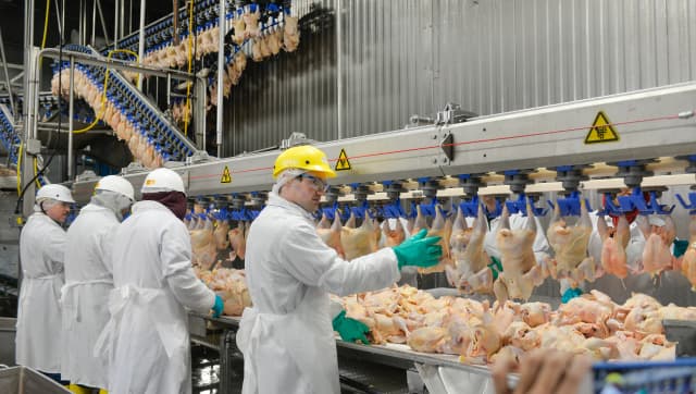 Gallery image 1ffd9e9d-74c3-44e9-8f70-e1866120b06a