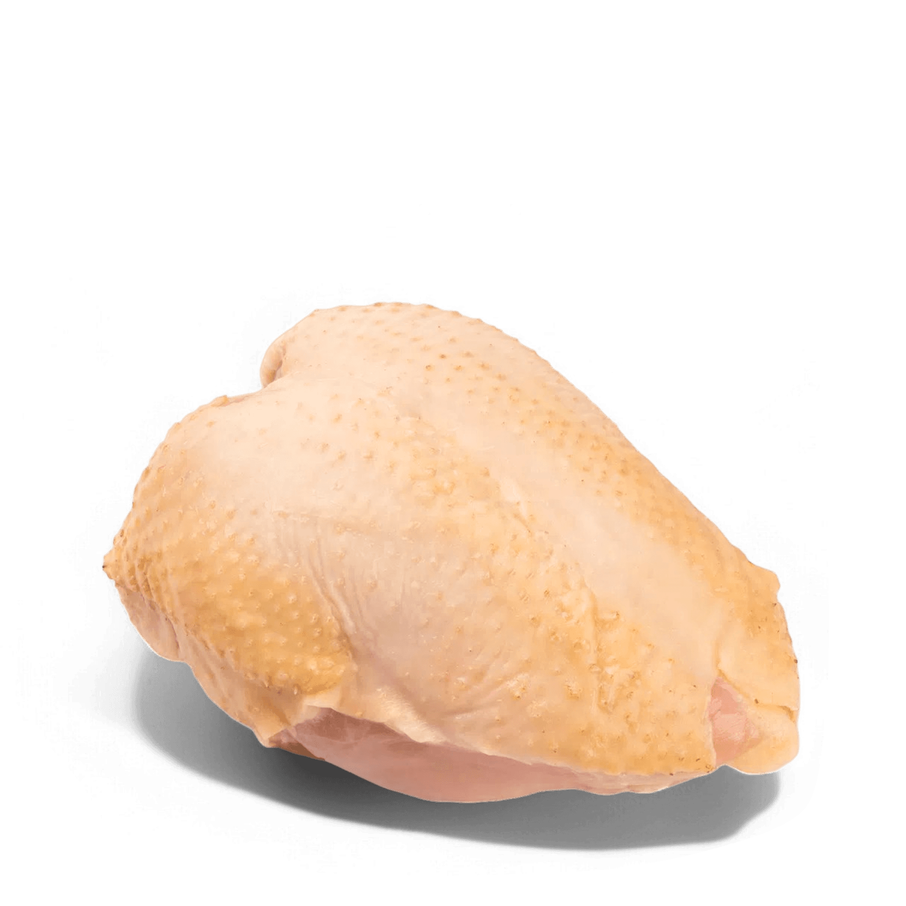 Raw Chicken Breast