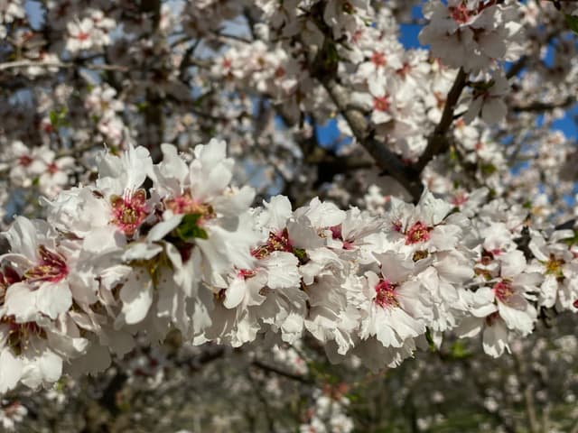 Gallery image 1092d6d1-eb80-4a6a-9a1b-139716856521