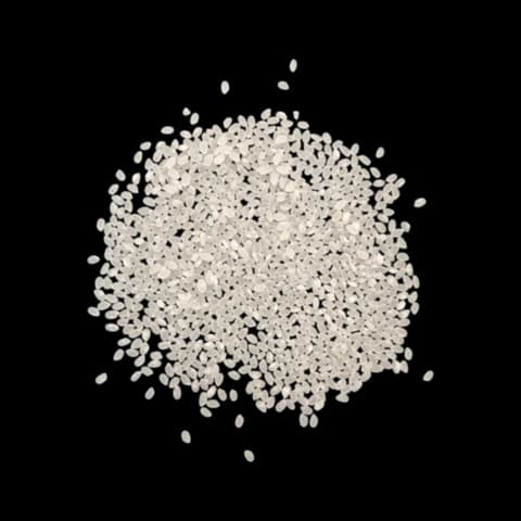 Selenio Sushi Rice (20 kg Sack)