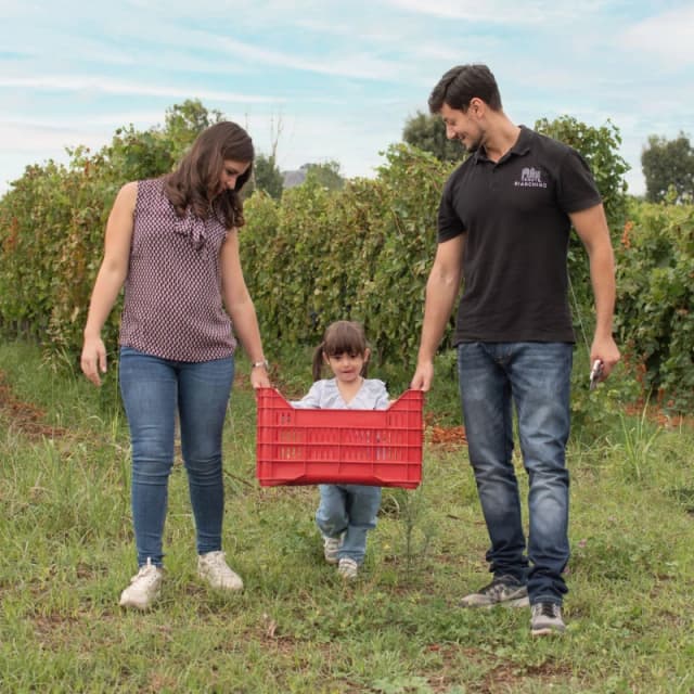 Gallery image cae509ef-2f37-4876-bcf3-36da997b8e05