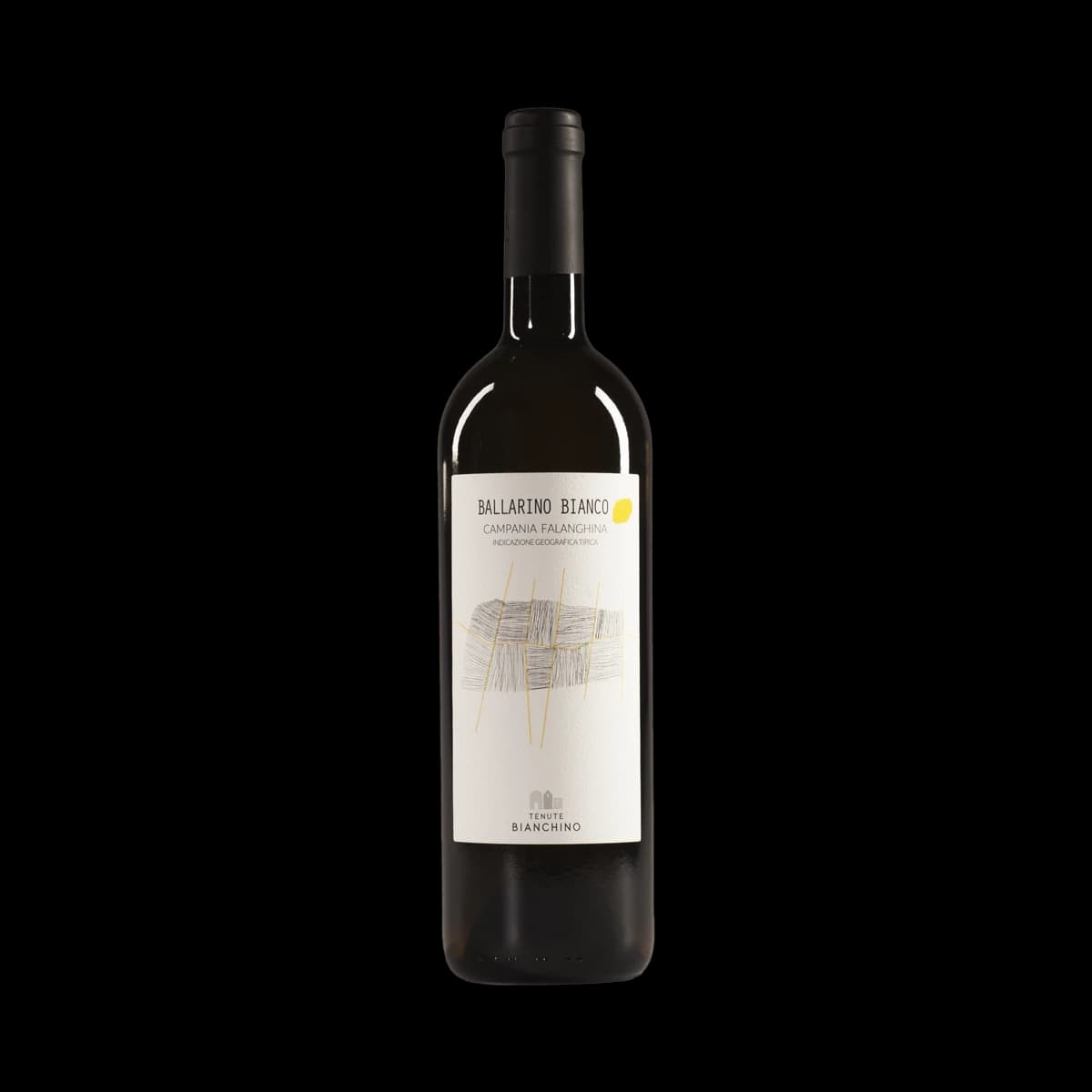 Ballarino Bianco Campania Falanghina IGT (2018) (13% Vol.)