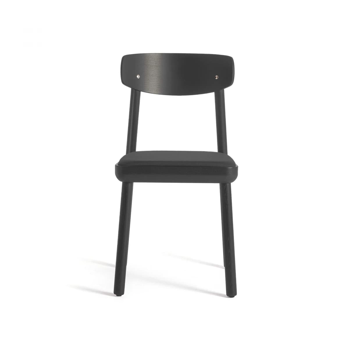 Ash Chair with Padded Seat and Plywood Backrest (Isa)